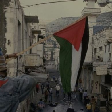 Sara Mohamed Profile Picture