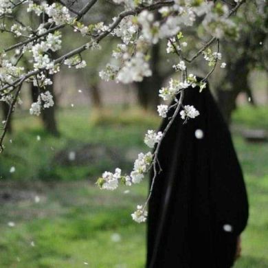 حياة قوراري