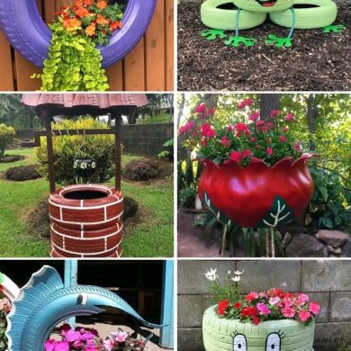 ahlam yesuf Profile Picture