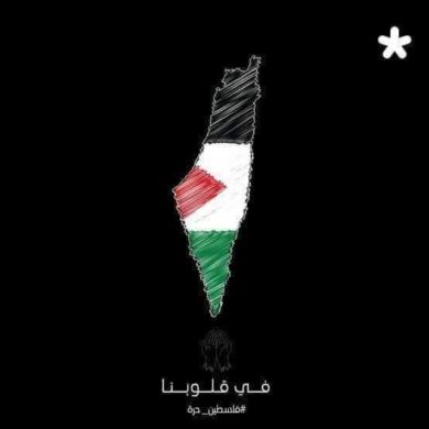 Yassen Mohamed Profile Picture