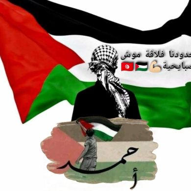 Ahmed Oueslati11 Profile Picture