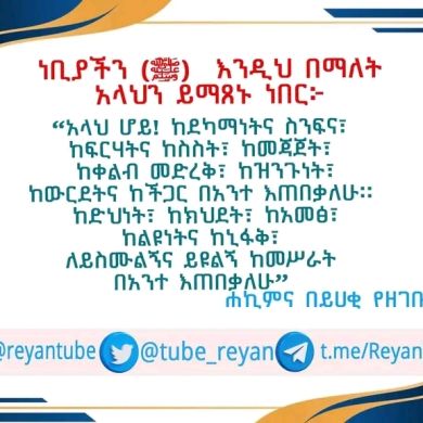 sefa sh Profile Picture