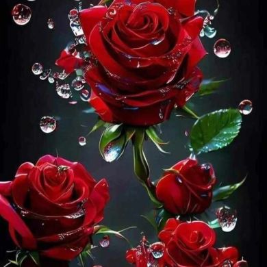 Farah Profile Picture