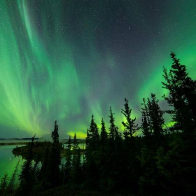 أيوب لبيض Profile Picture