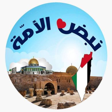 ahmed khairy Profile Picture