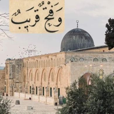 أسماء أحمد Profile Picture