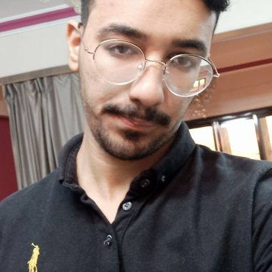 Abdelrahman Amer Profile Picture