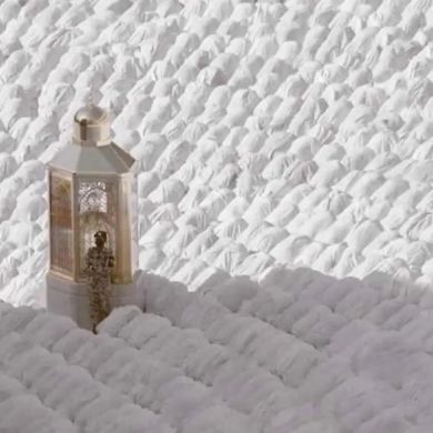 eslewa yasin Profile Picture