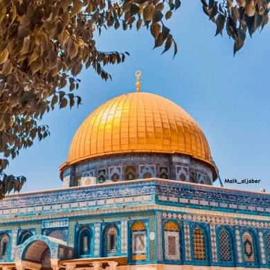 hassen baccar Profile Picture