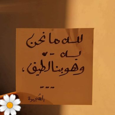 آية أبوالفتوح Profile Picture