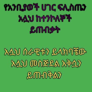 seidMusa ali Profile Picture