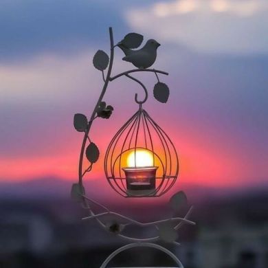 Ahmed Essam Profile Picture