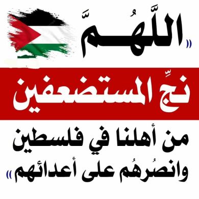 الإسلام هو السنة والسنة هي الإسلام profile picture