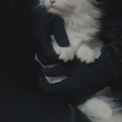 Meriem El batoul Profile Picture