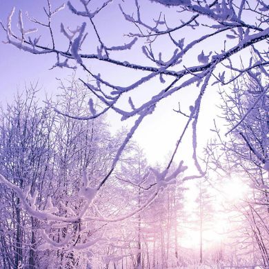 بركانى حسين Profile Picture