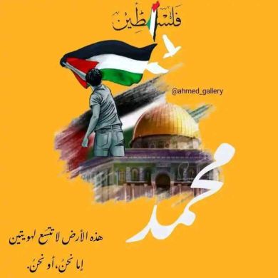 Turky441979 Profile Picture