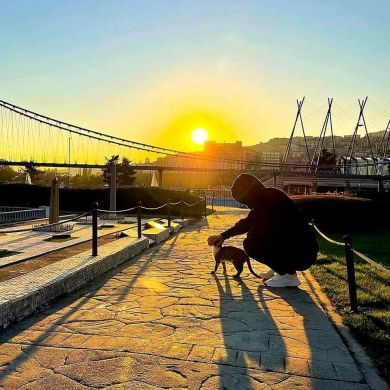 ahmad alahmr Profile Picture