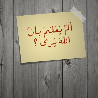 أنس هيكل Profile Picture