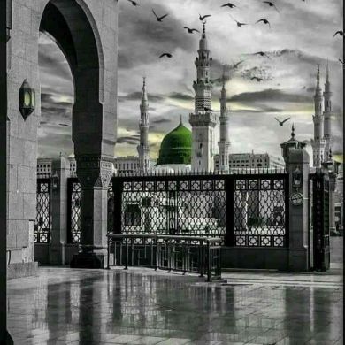 Hani makran Profile Picture