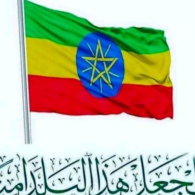 nuru mohammed Profile Picture