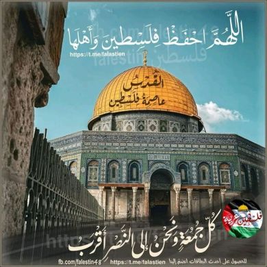 umer jemal Profile Picture