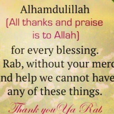 kamilatkedir Profile Picture