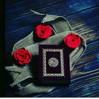 kemr kemr Profile Picture