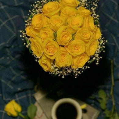 meryem jemal mehamed