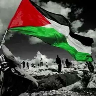 Mohamed mostafa Profile Picture