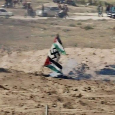 elso74amr Profile Picture