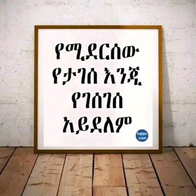 darul hijira Profile Picture