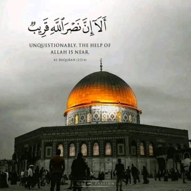 Abu yaheya hassen Profile Picture