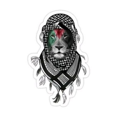 aliyu Zulkeyiber Profile Picture