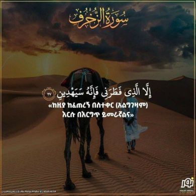 Awol Mohammed Profile Picture