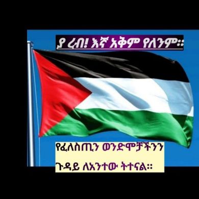 abdi sefa Profile Picture