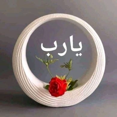 Mohammed Wollo Profile Picture