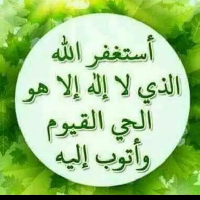 oumer gemal Profile Picture