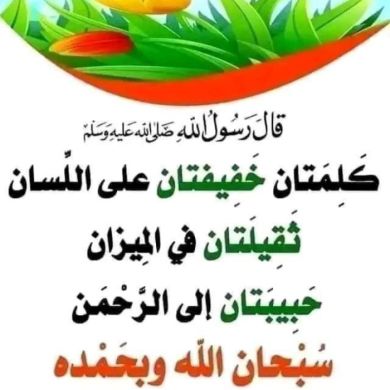 Hadiya Hussien Profile Picture