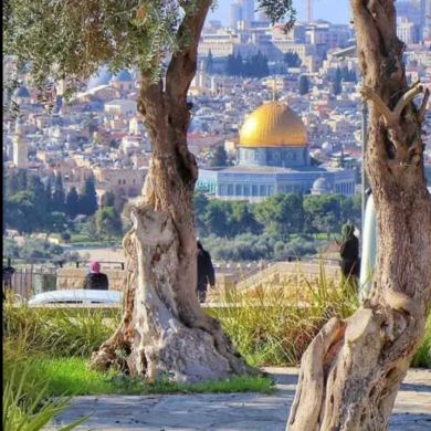 abuamereallahe abuamerallahe Profile Picture