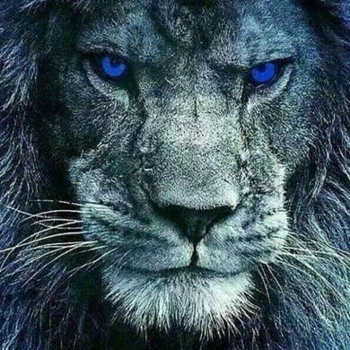 Ислам Будунов