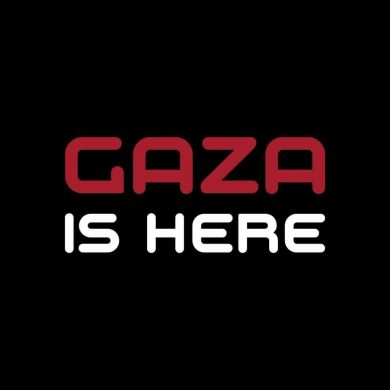 Adel Aly Profile Picture