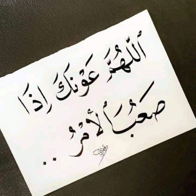 Mustefa muhammed profile picture