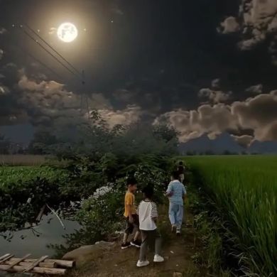 Zuleyka Jemal Profile Picture