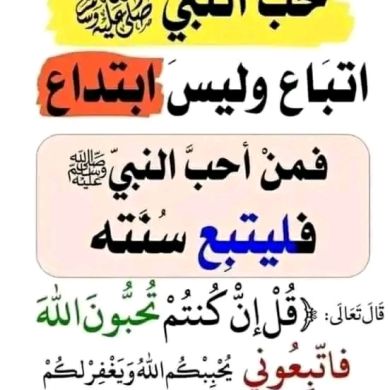 Habib seid Profile Picture