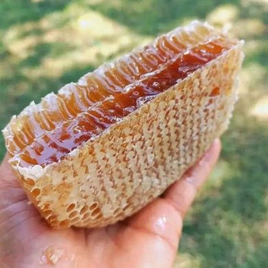 عبدالله ابو فلان