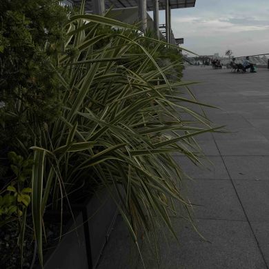 إكرام اكرام Profile Picture