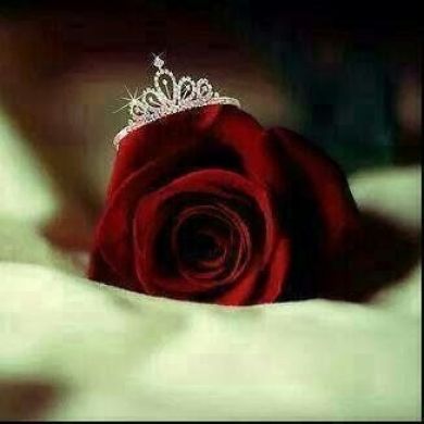 Bint Aragaw Profile Picture