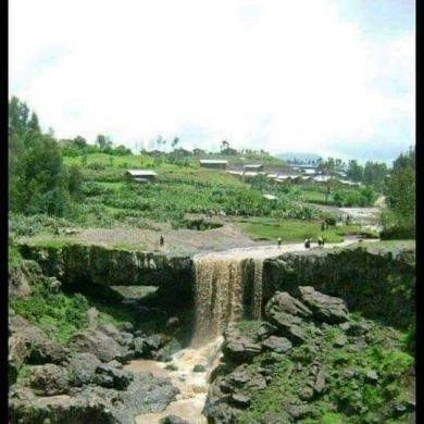 Abduselam Selam | UmmaLife