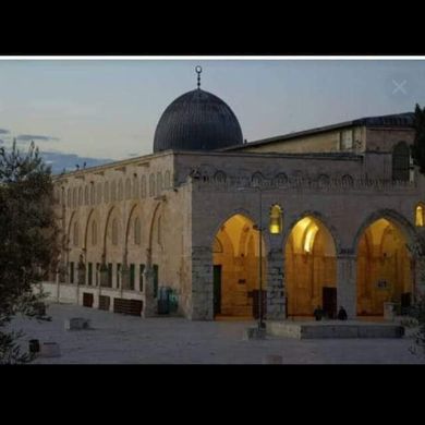 مصطفى دويدار