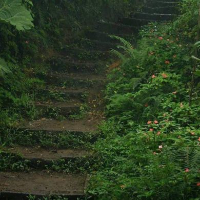 محمود ابو بسام